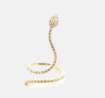 Anello Aspide
