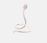 Anello Aspide