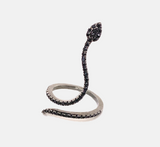 Anello Aspide
