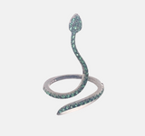 Anello Aspide